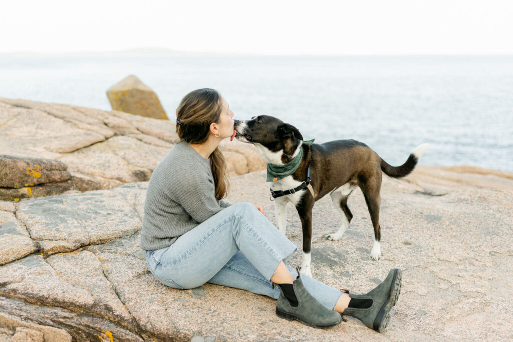 honeymoon couples session with dog in acadia national park inspiration 