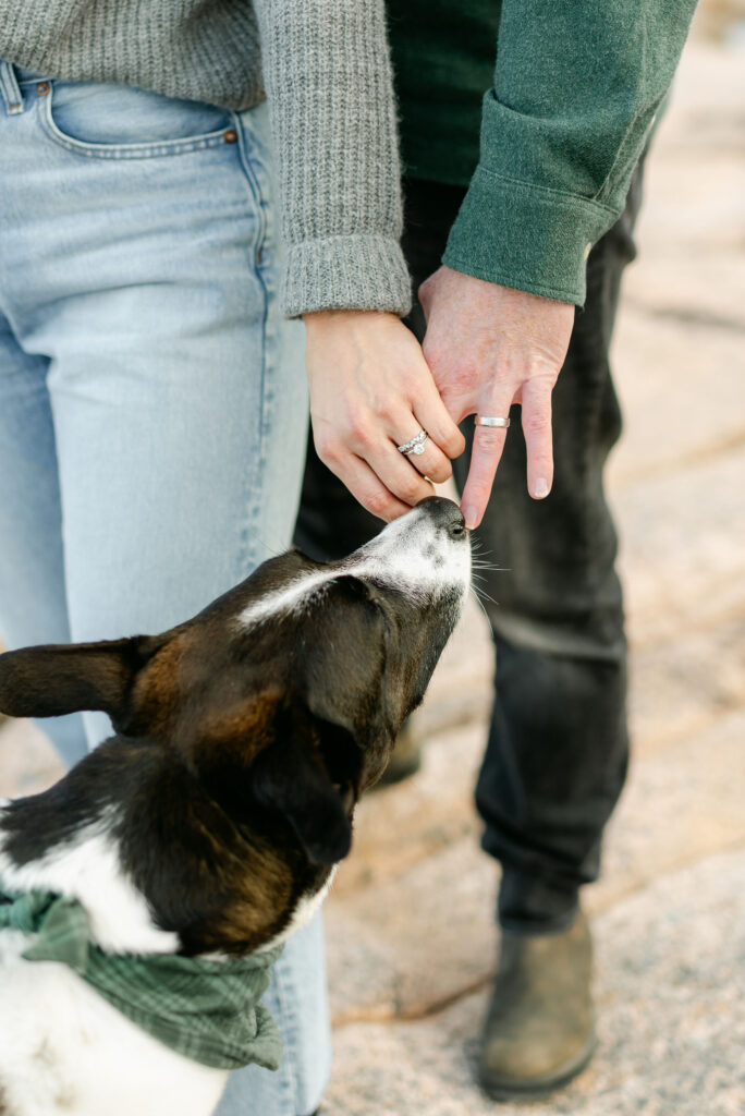 honeymoon couples session with dog in acadia national park inspiration 