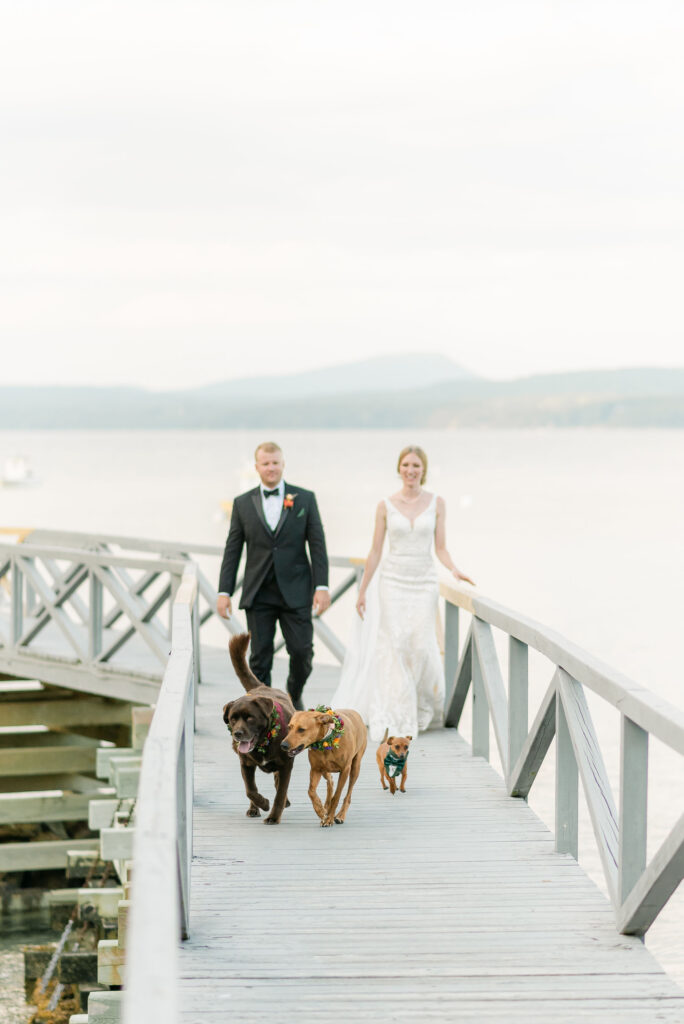bride groom dogs coastal maine portraits