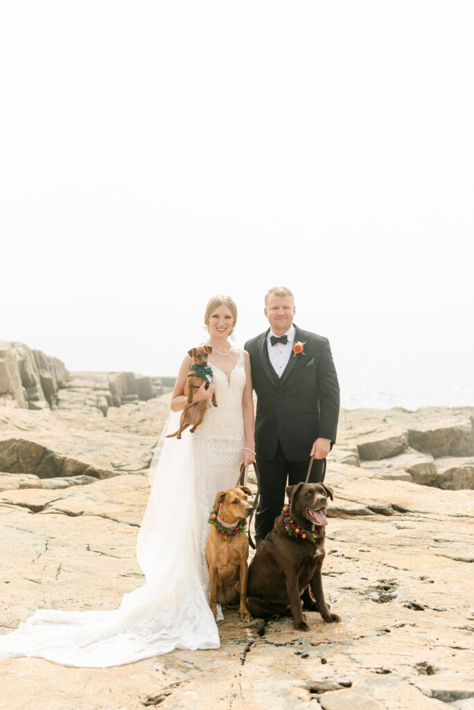 bride groom dogs wedding portraits couples