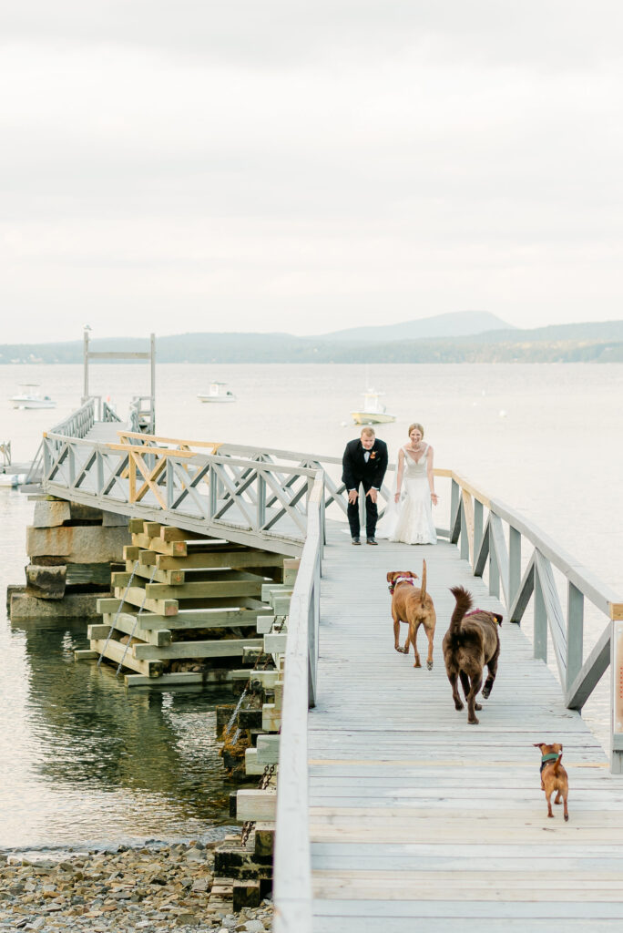 wedding party guests portraits ocean bride groom dogs
