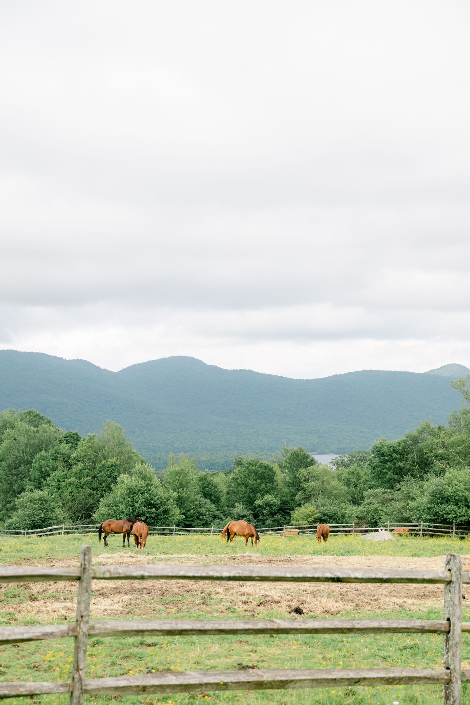 Vermont Mountain Top Resort wedding by Maine Wedding Photographer Emily Brianne Photography